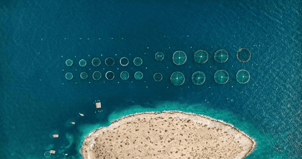 How can Special Economic Zones Advance the Blue Economy?